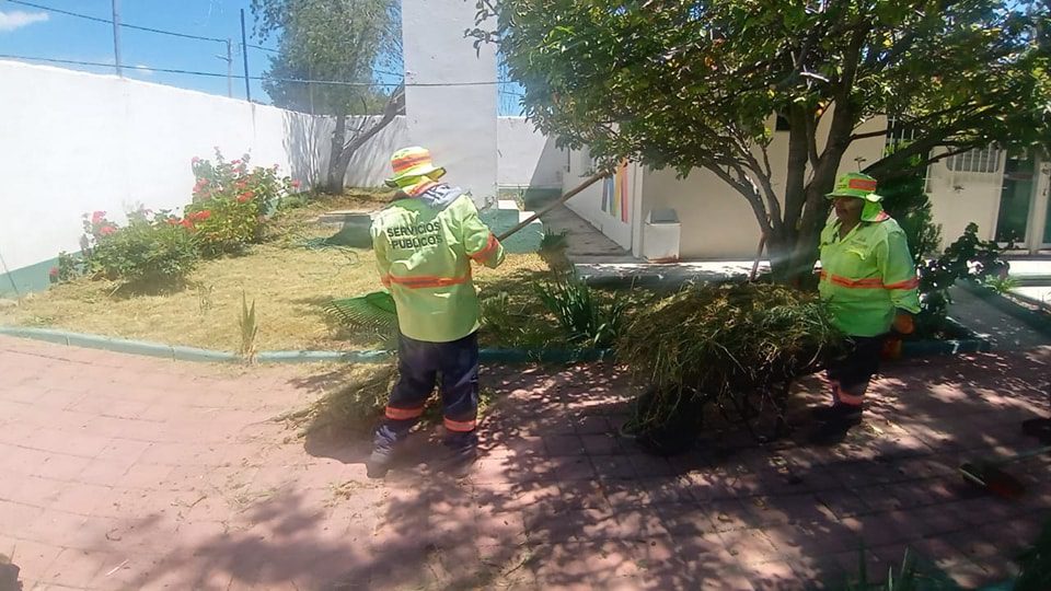 1695748138 300 Realizamos limpieza arreglos en jardineria poda de pasto hierba y