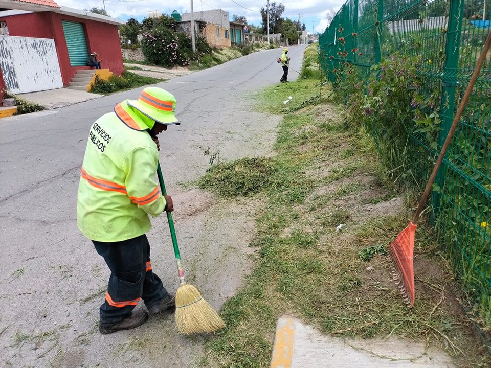 1695748144 474 Realizamos limpieza arreglos en jardineria poda de pasto hierba y