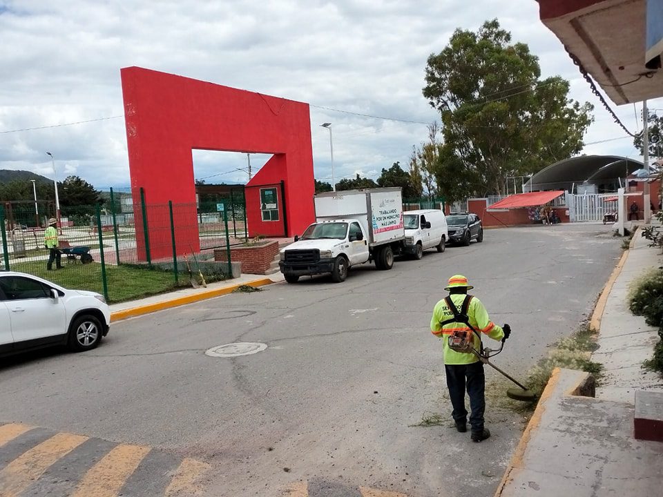 1695748149 153 Realizamos limpieza arreglos en jardineria poda de pasto hierba y