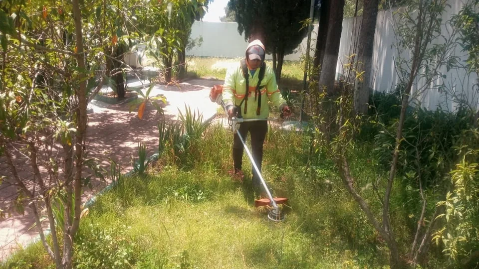 1695748174 Realizamos limpieza arreglos en jardineria poda de pasto hierba y jpg