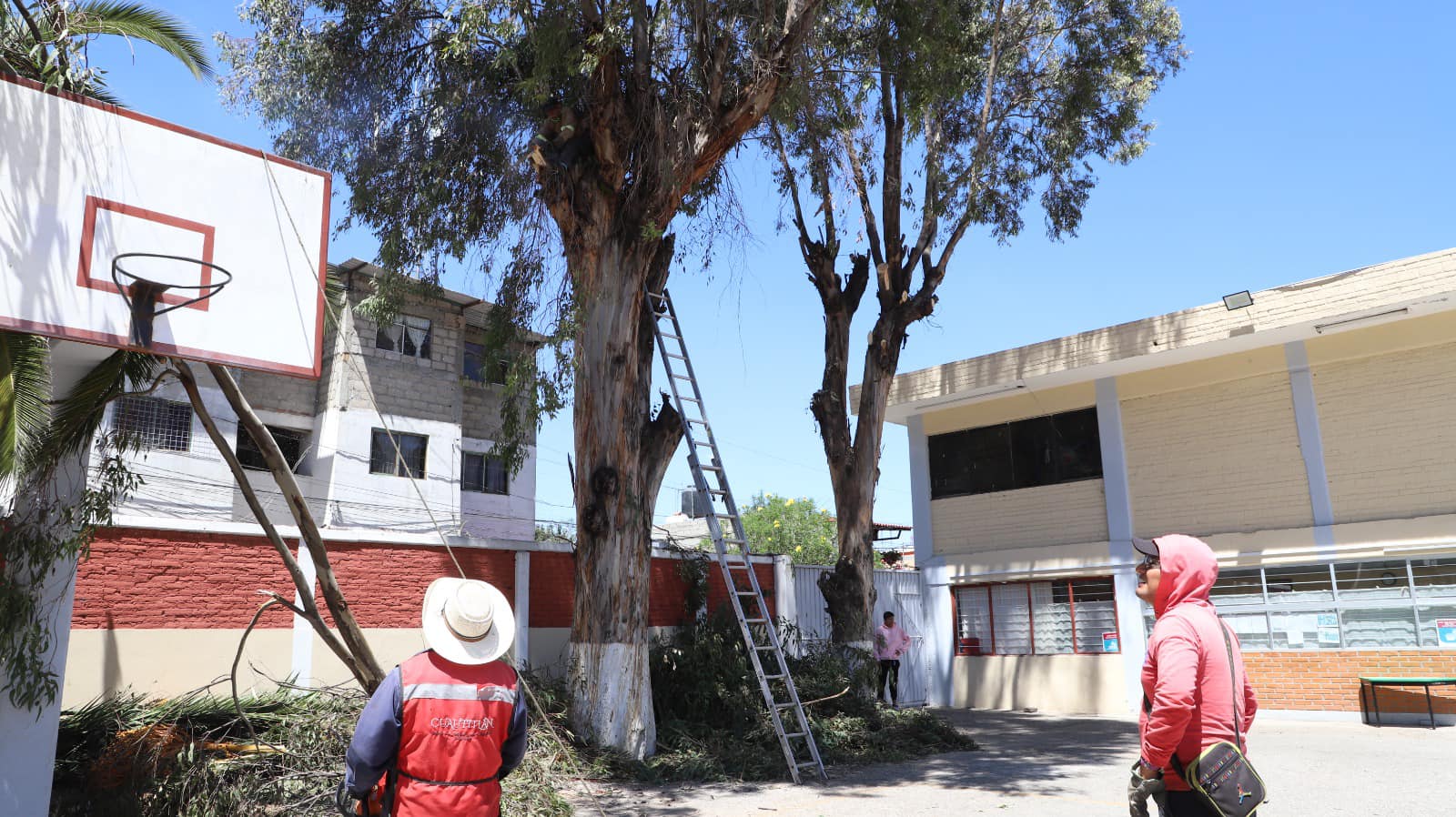 1695750100 248 Como parte del embellecimiento de nuestro municipio la cuadrilla de