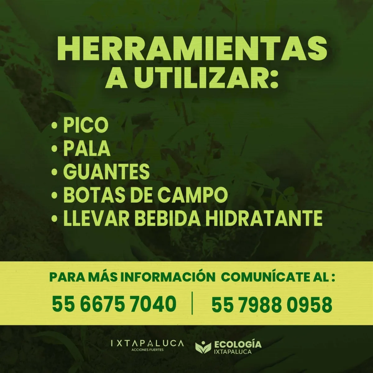 1695826093 560 Segunda Reforestacion Masiva 2023 Unete a nuestro equipo y acompananos