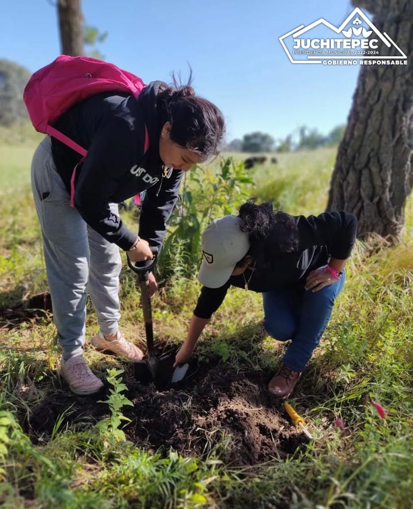 1695840398 968 JornadadeReforestacion ¡Noticias ambientales y positivas Estamos emociona