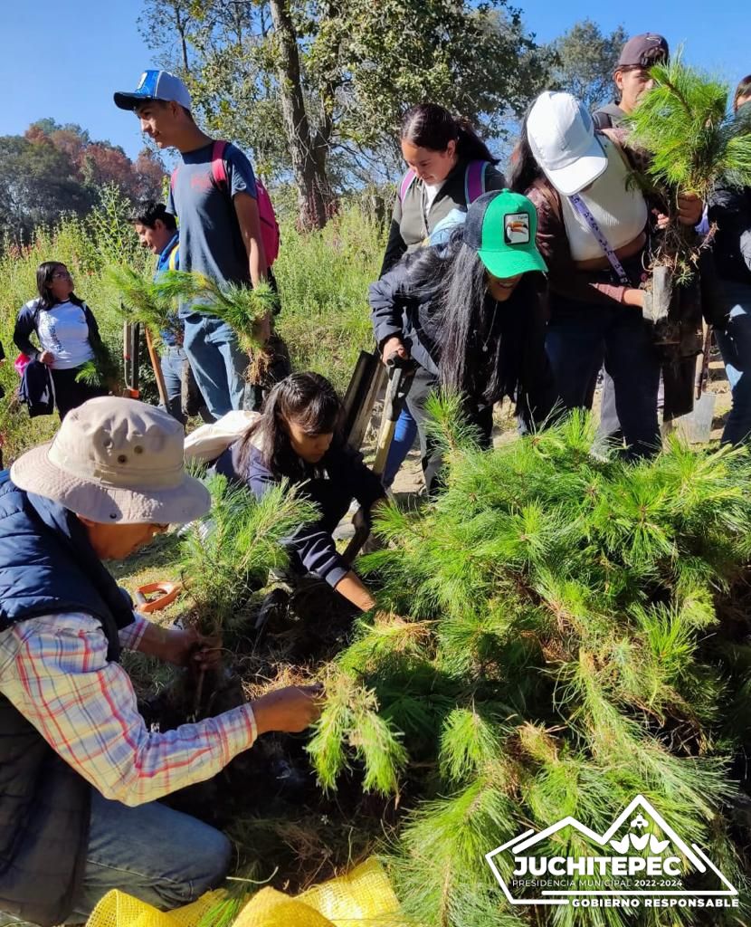 1695840403 13 JornadadeReforestacion ¡Noticias ambientales y positivas Estamos emociona