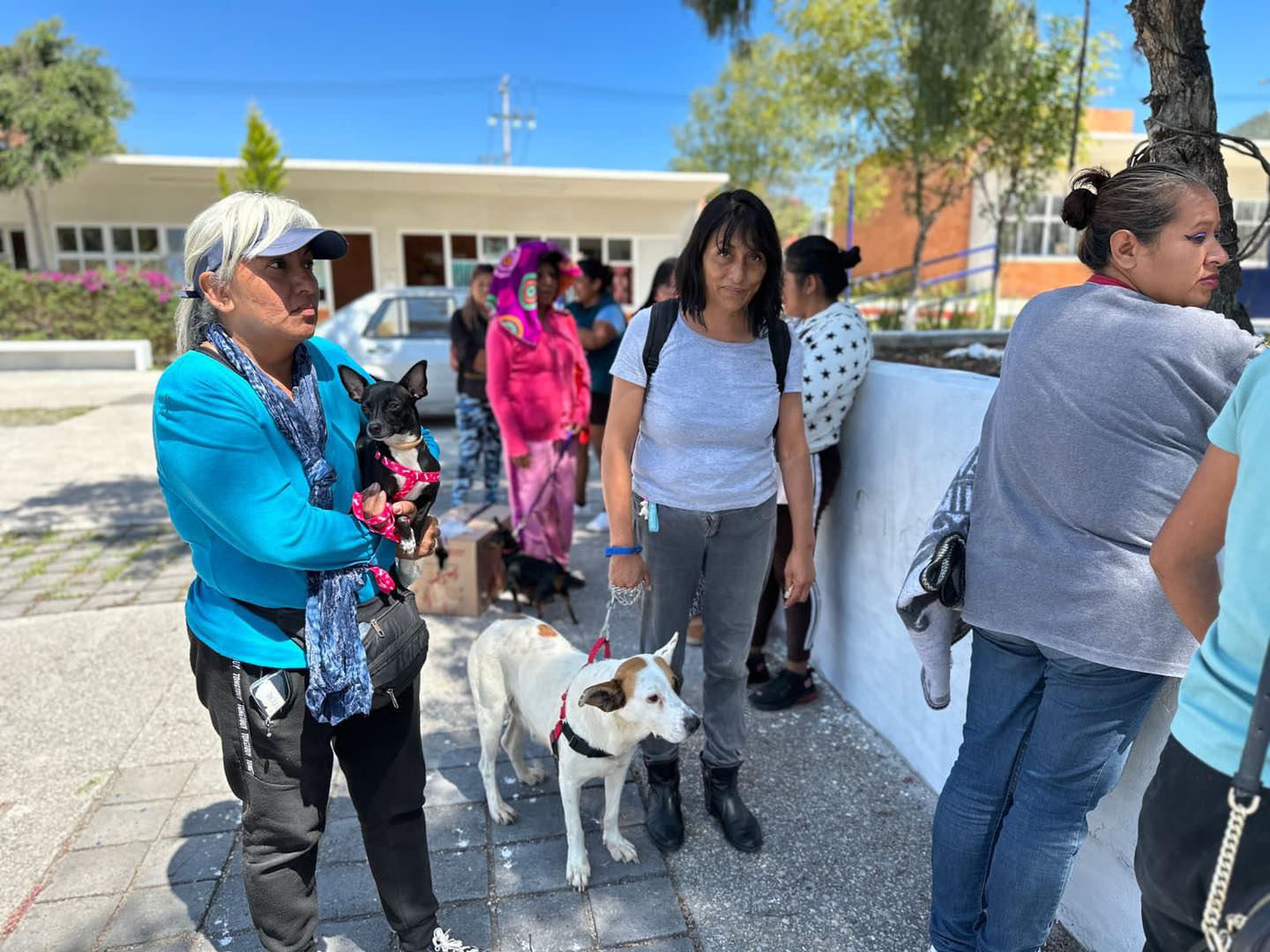 1695850772 124 Jornada de esterilizacion canina y felina Asi se vivio