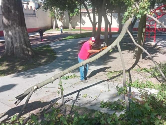 1695856569 161 Luego que durante la madrugada en nuestra Alameda Central se