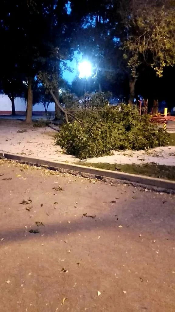 1695856592 Luego que durante la madrugada en nuestra Alameda Central se jpg