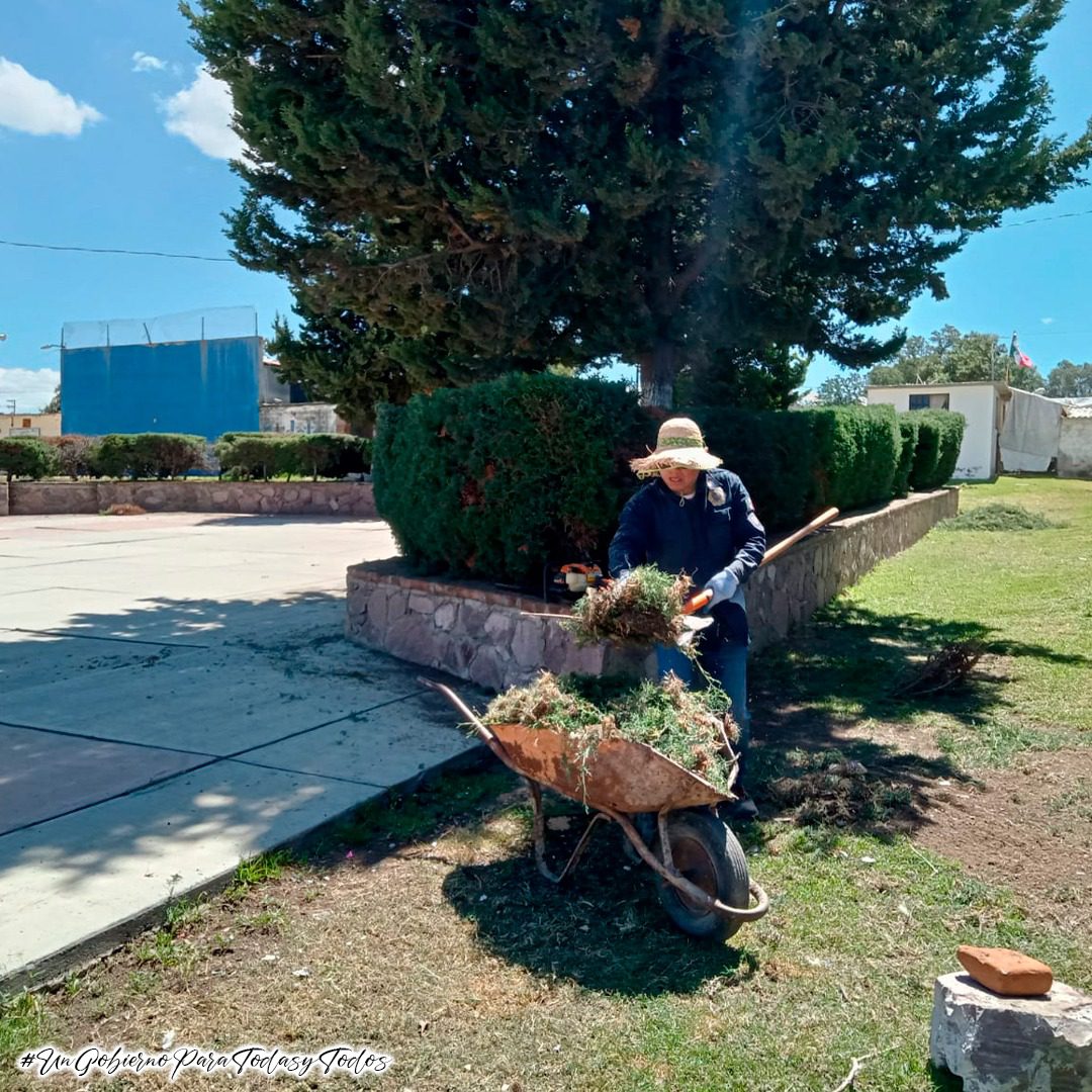 1695858835 620 La Coordinacion de Parques Jardines y Panteones del H Ayuntamiento