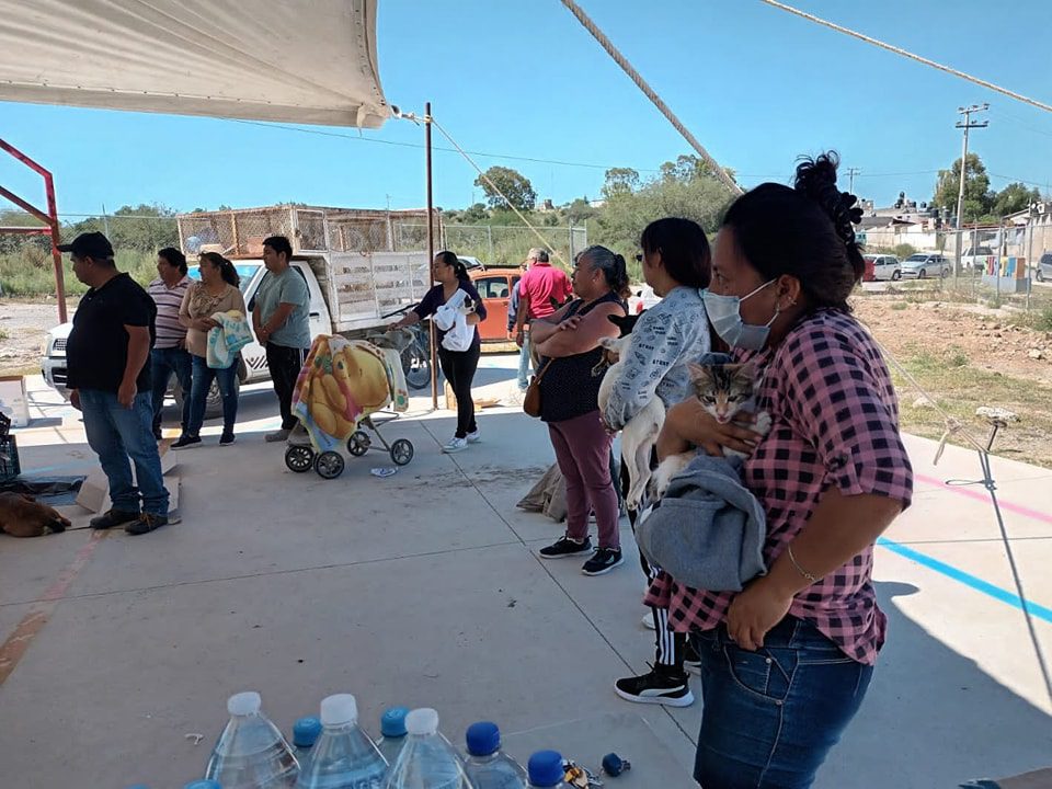 1695859101 465 EN COLONIA LA CRUZ ESTERILIZAMOS A 60 MASCOTAS