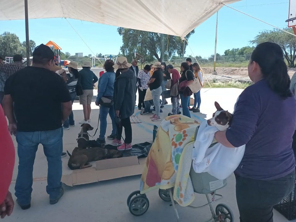 1695859110 26 EN COLONIA LA CRUZ ESTERILIZAMOS A 60 MASCOTAS