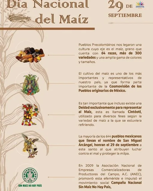 1695997675 Celebremos juntos el dia nacional del maiz ese delicioso jpg