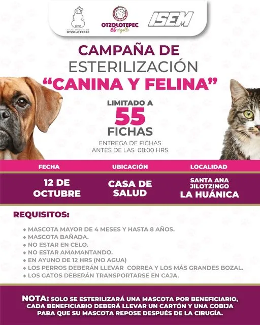 1696005495 ¡Cuidalos y esterilizalos Proseguimos con las campanas de esterilizacion Canina jpg