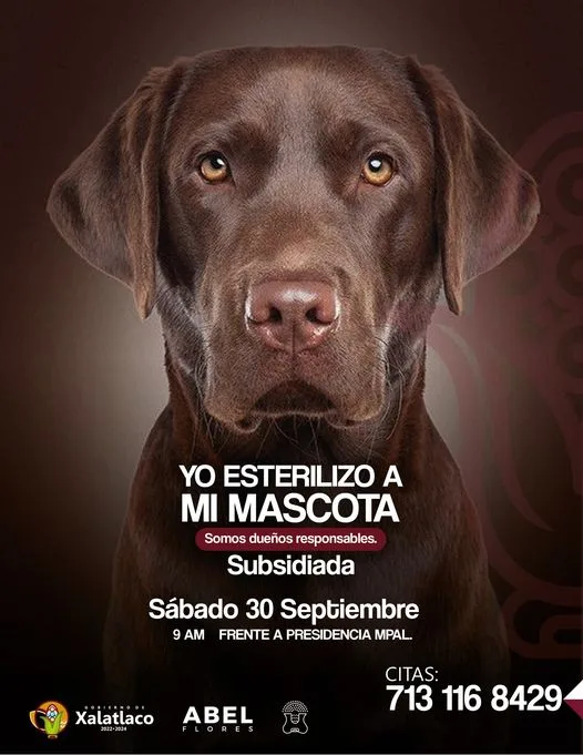 1696025856 Somos duenos responsables MiMascota jpg