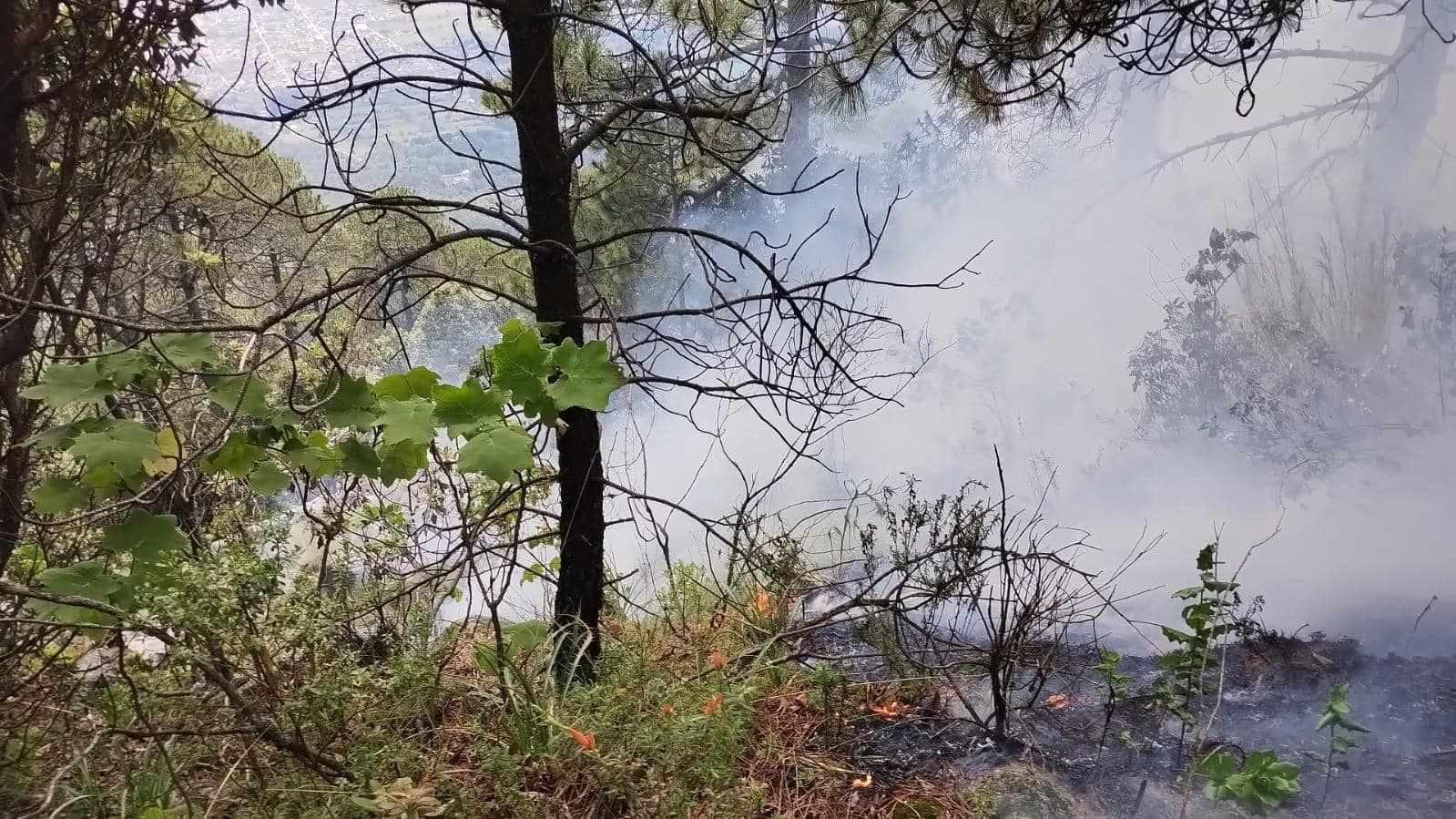 1696030513 535 En atencion a las catastrofes naturales los Servidores Publicos de