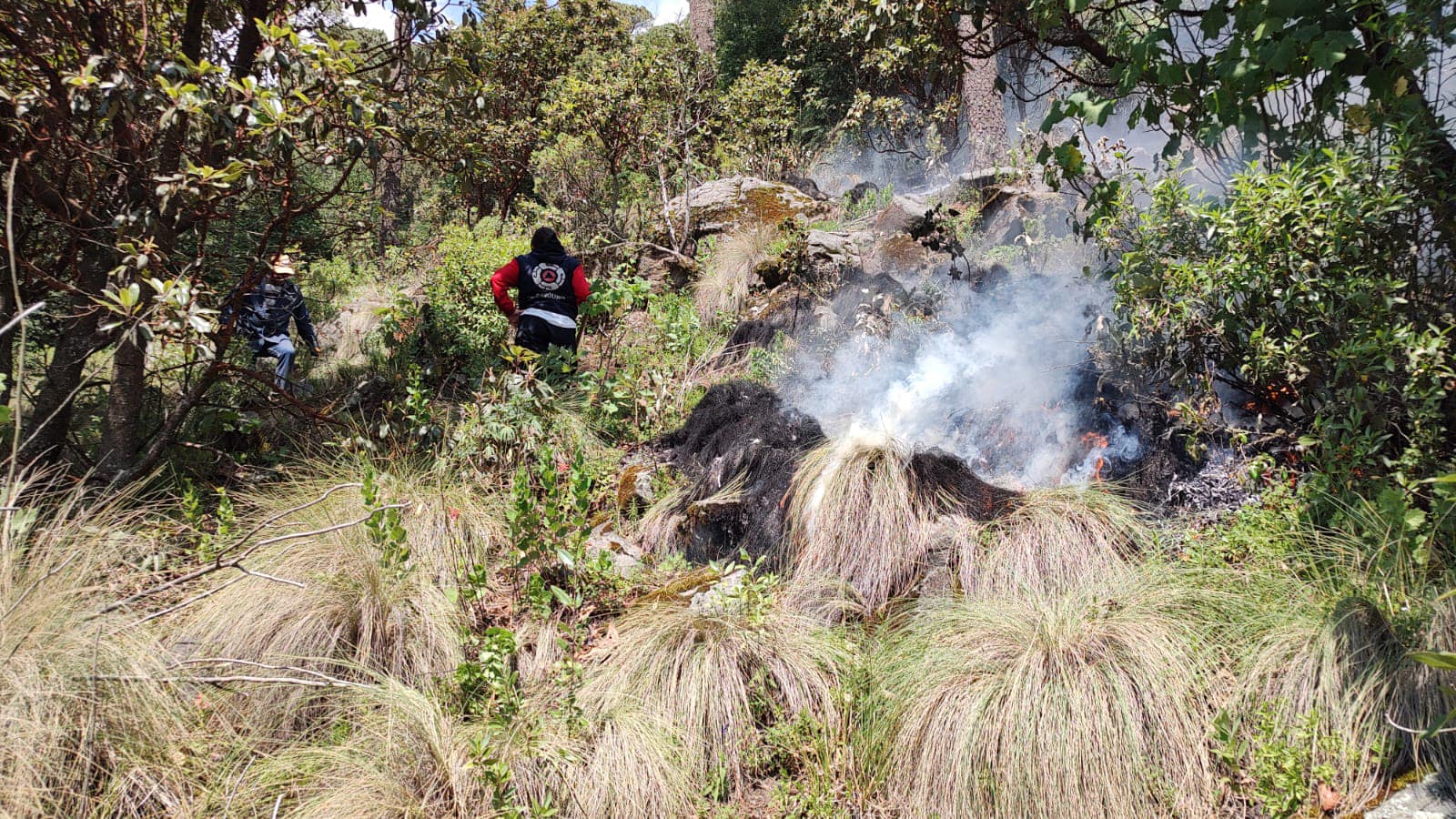 1696030528 131 En atencion a las catastrofes naturales los Servidores Publicos de