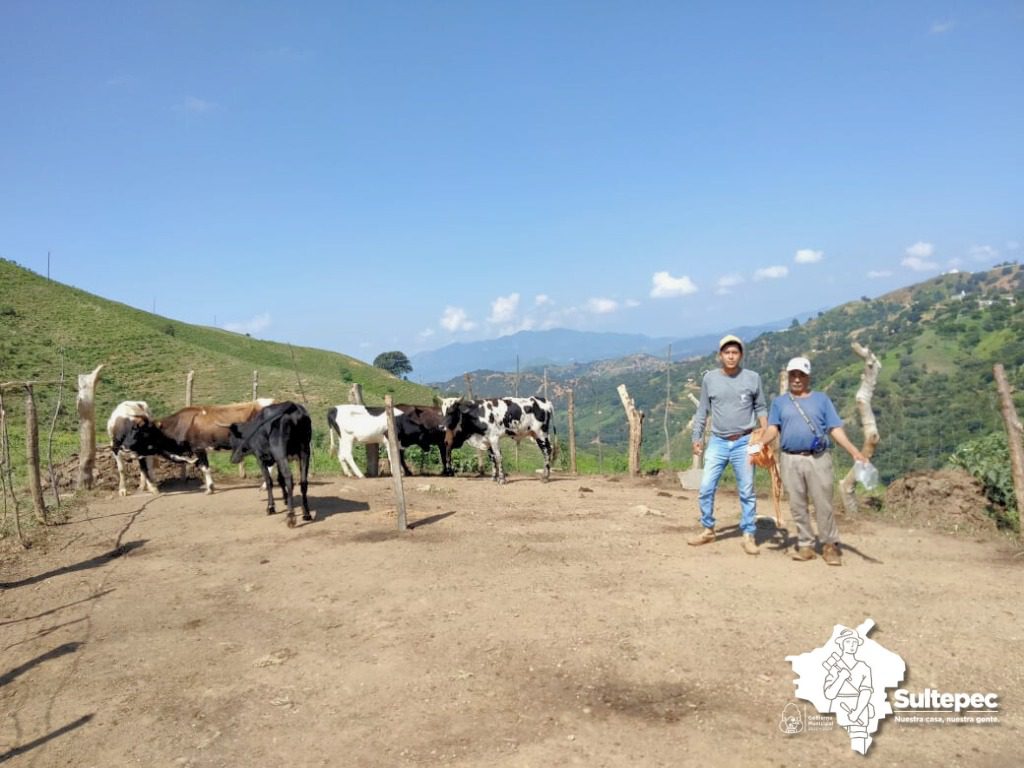 1696090040 317 La Coordinacion de Desarrollo Agropecuario Ecologia y Medio Ambiente del