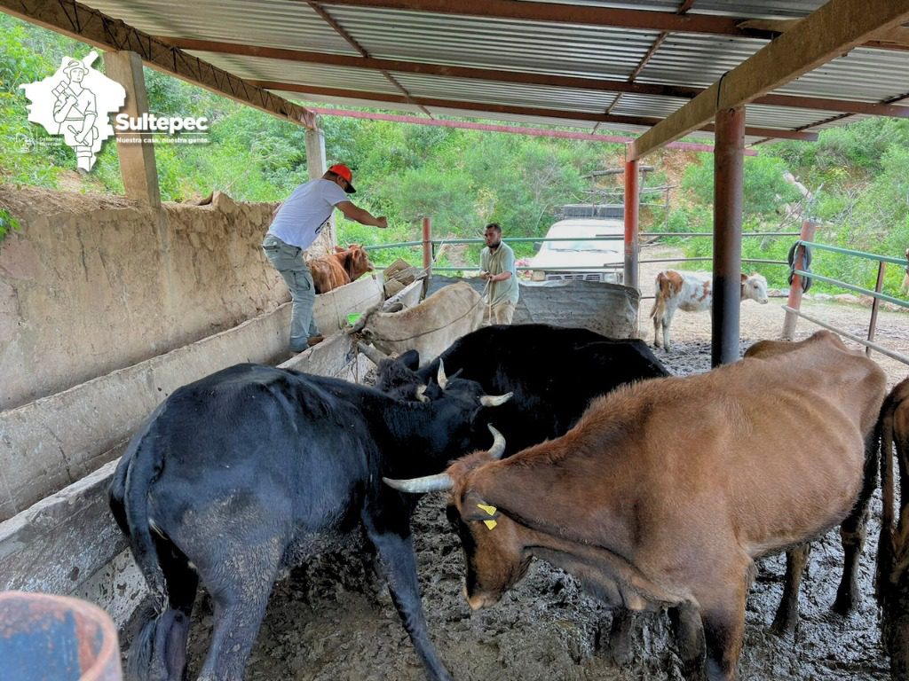 1696090045 138 La Coordinacion de Desarrollo Agropecuario Ecologia y Medio Ambiente del