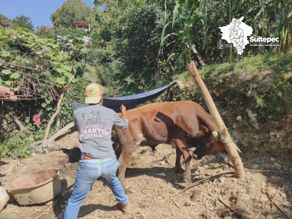 1696090050 755 La Coordinacion de Desarrollo Agropecuario Ecologia y Medio Ambiente del