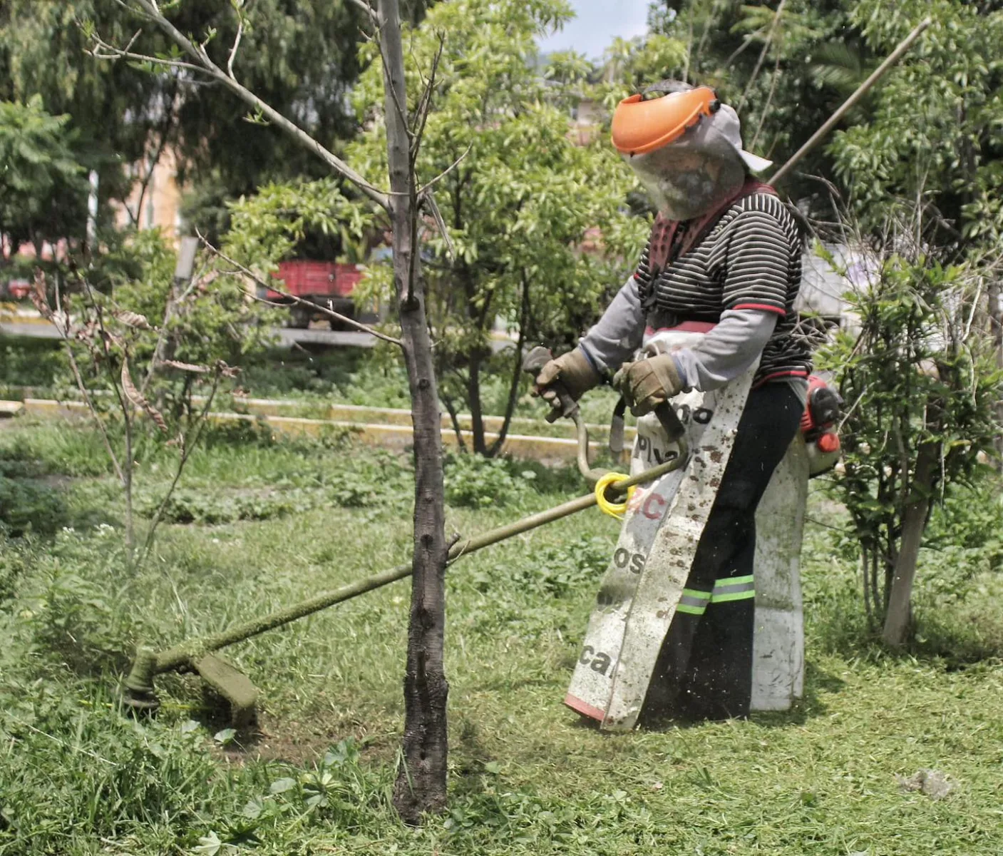 Continuamos con el embellecimiento de nuestros Camellones con trabajos de