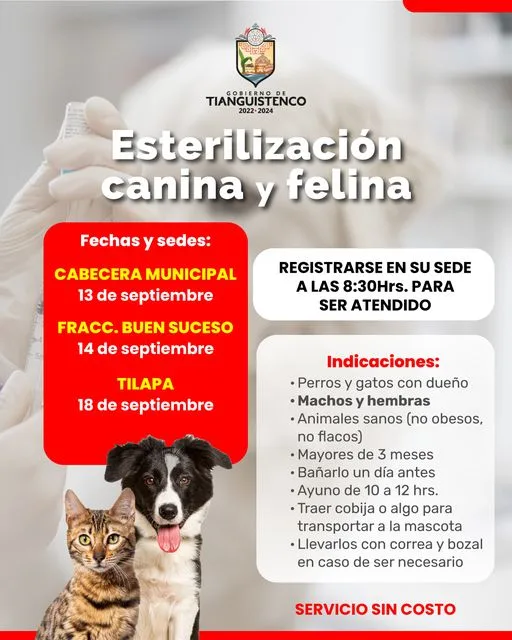 Cuidemos de nuestros lomitos asiste a Las jornada de esterilizacion jpg