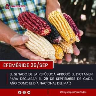 Efemeride II 𝐃𝐈́𝐀 𝐍𝐀𝐂𝐈𝐎𝐍𝐀𝐋 𝐃𝐄𝐋 𝐌𝐀𝐈́𝐙 El cultivo del maiz