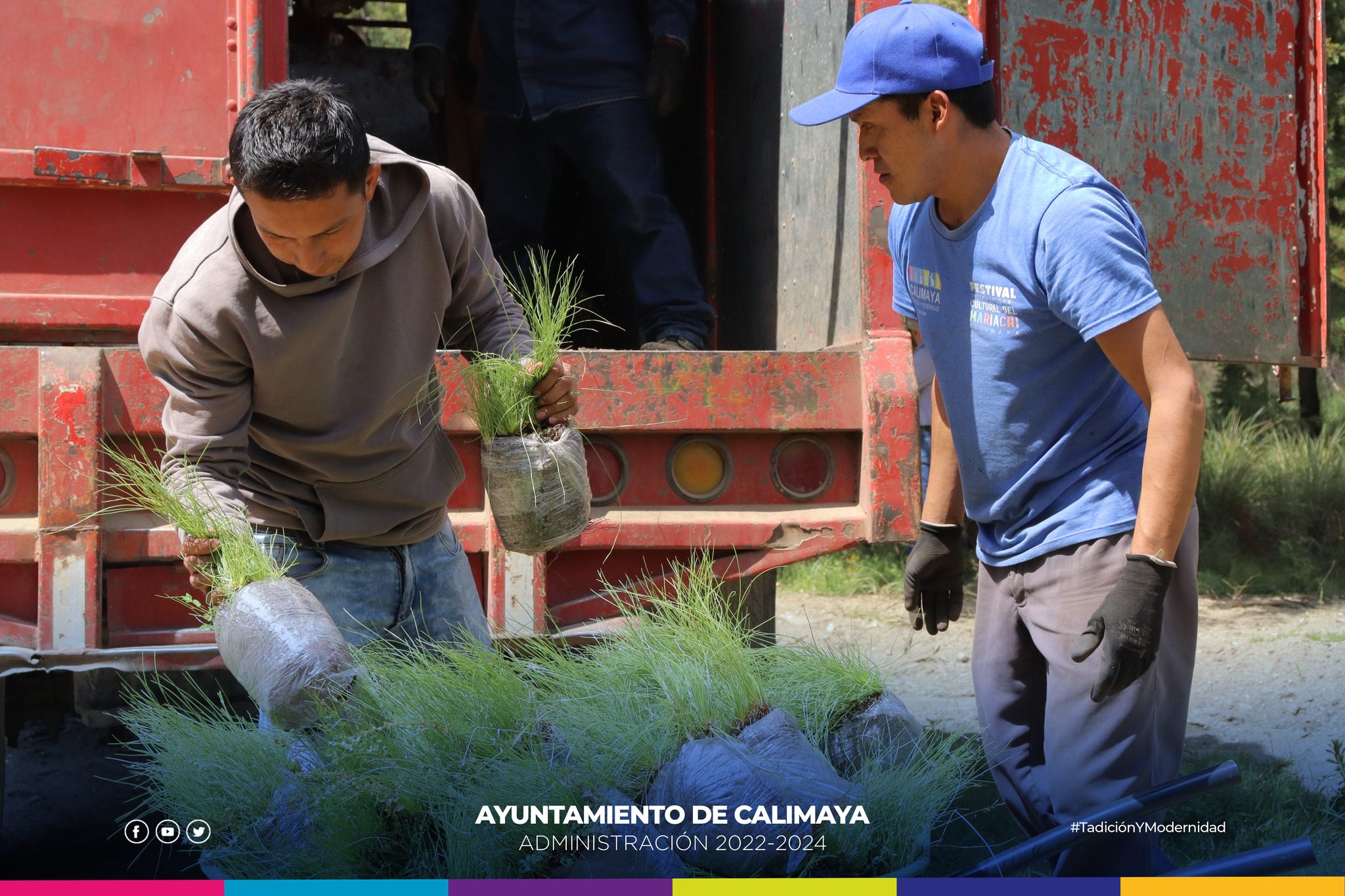 El dia de hoy llevamos a cabo una reforestacion en