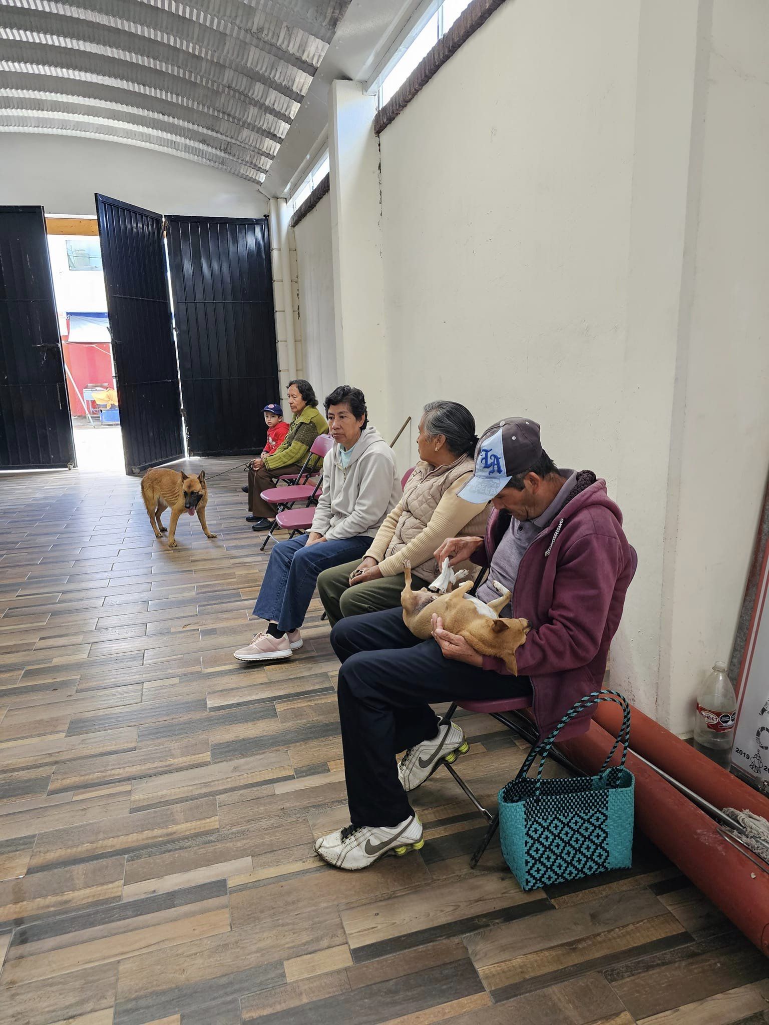 Esterilizacion Canina y Felina El Gobierno Municipal de Texcalyacac a