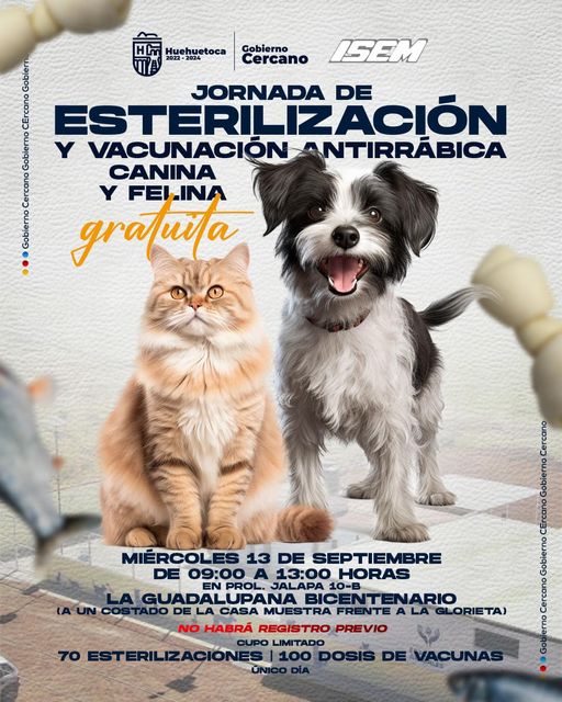 JORNADA DE ESTERILIZACION Y VACUNACION ANTIRRABICA CANINA Y FELINA