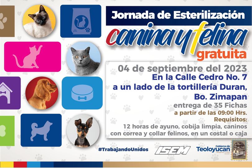 Jornada de Esterilizacion Canina y Felina