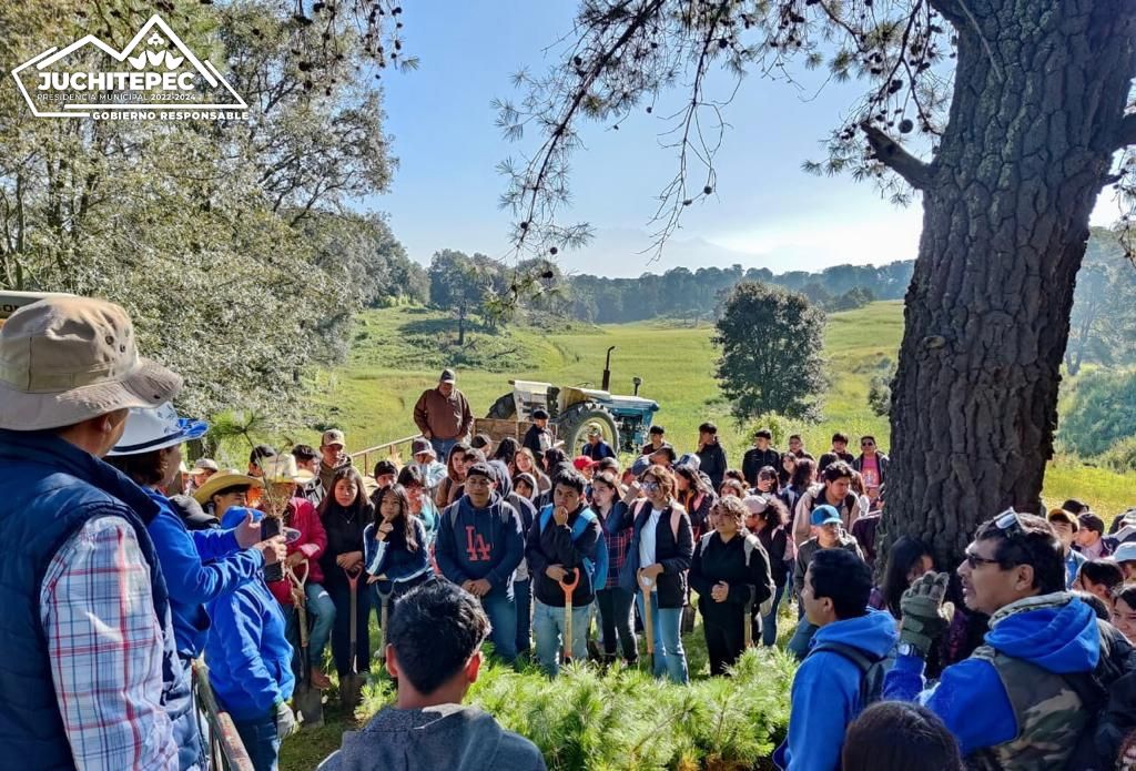 JornadadeReforestacion ¡Noticias ambientales y positivas Estamos emociona