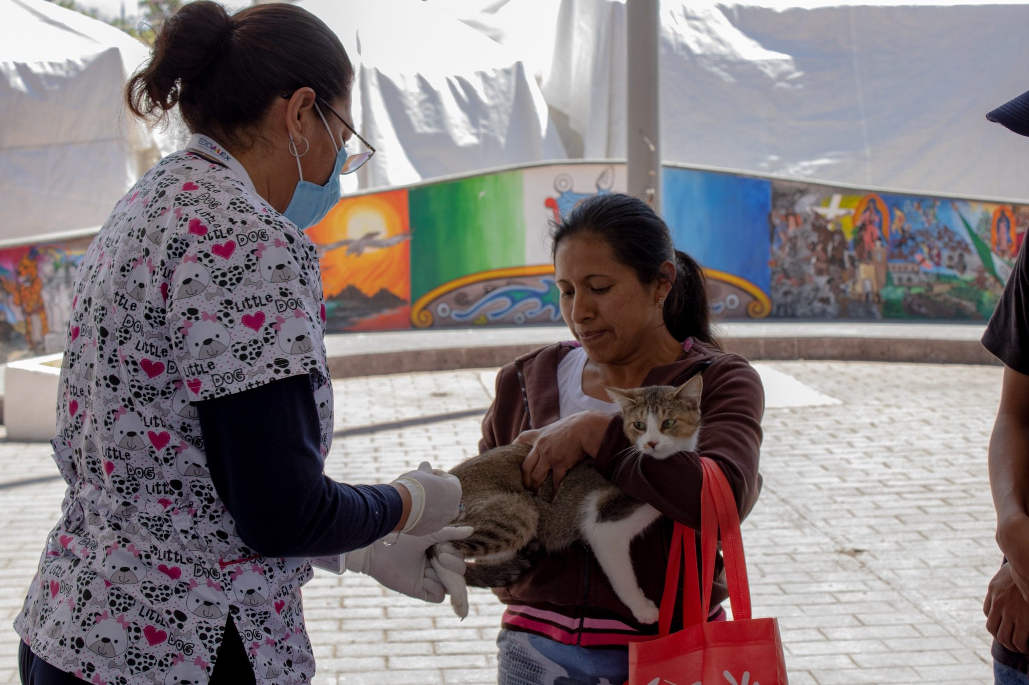 La esterilizacion es una accion preventiva que ademas de mejorar