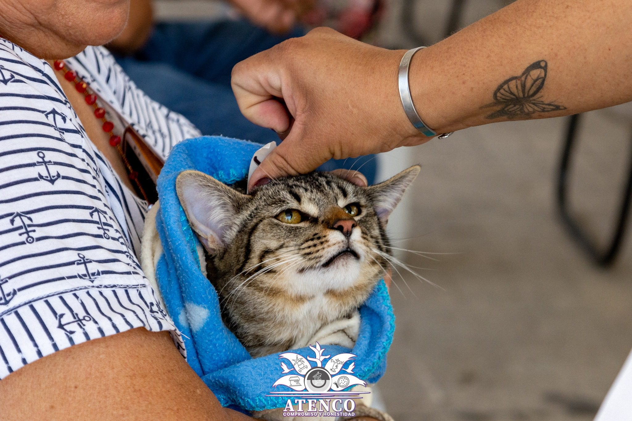 NOVENA JORNADA DE ESTERILIZACION CANINA Y FELINA 2023 A traves