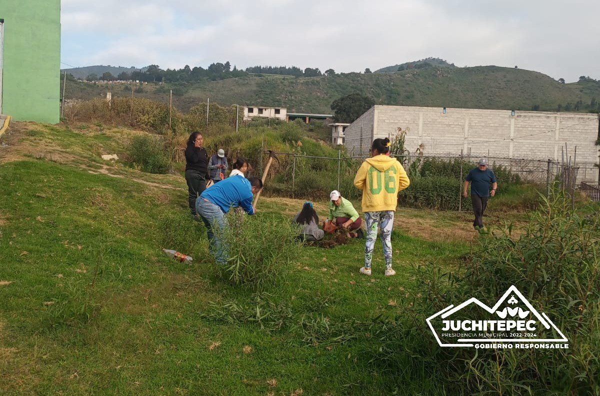 Reforestacion ¡Creciendo juntos mas verdes y saludables El Gobierno