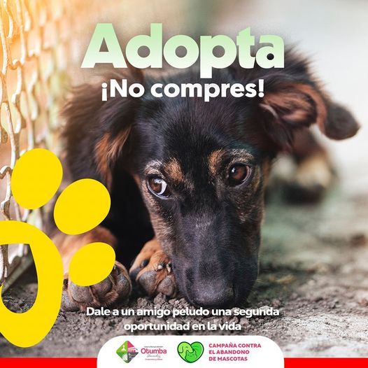 ¡Adopta no compres Dale a un amigo peludo una segunda