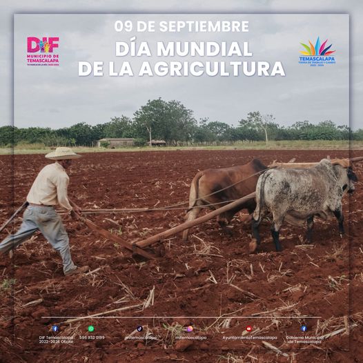 ¡Celebremos el Dia de la Agricultura Hoy rendimos homenaje a