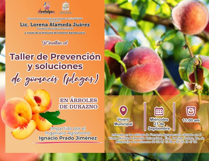 ¡Cuidemos nuestros arboles de Durazno Te invitamos al Taller de