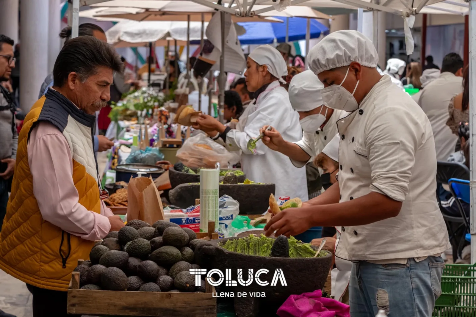 ¡El HuertoSustentable del DIF Toluca es un excelente lugar para scaled