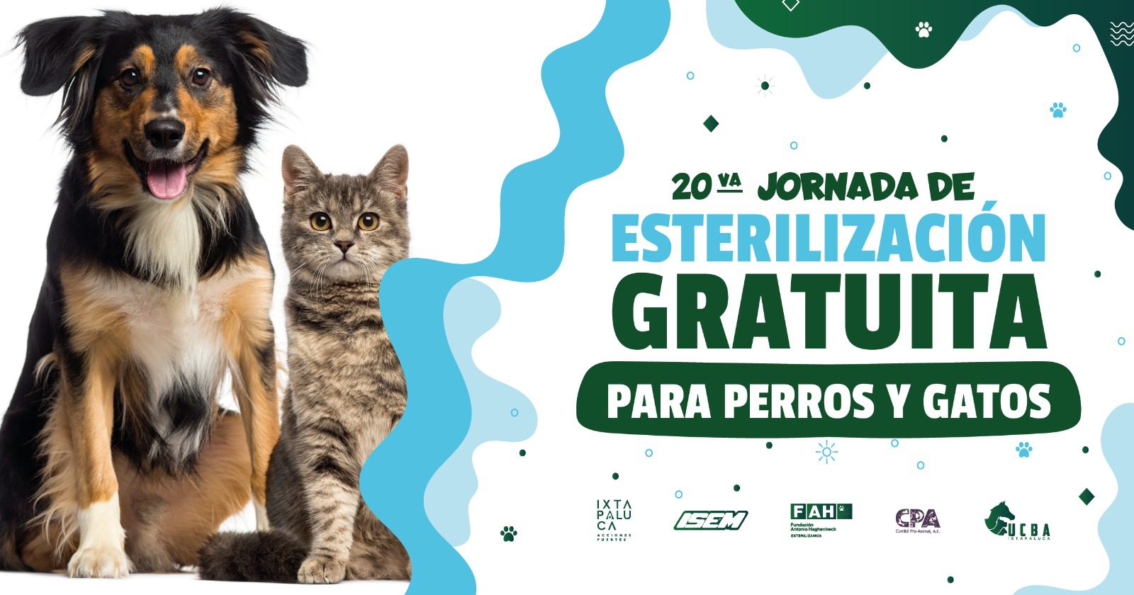 ¡Ellos merecen una mejor vida Ayudanos a prevenir el abandono