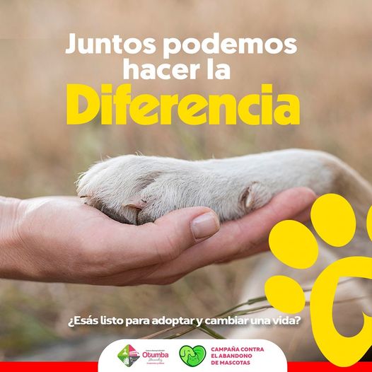 ¡Juntos podemos hacer la diferencia¡ ¿Estas listo para adoptar y