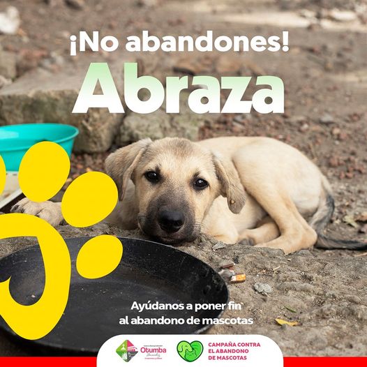 ¡No abandones abraza Ayudanos a poner fin al abandono de