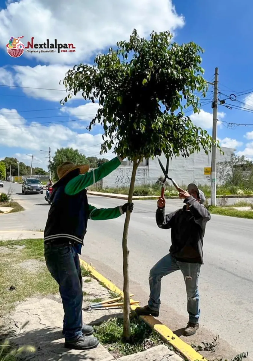 ¡Noticias verdes