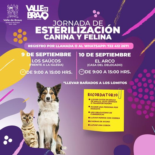 ¡Participa en nuestras Jornadas de Esterilizacion Canina y Felina