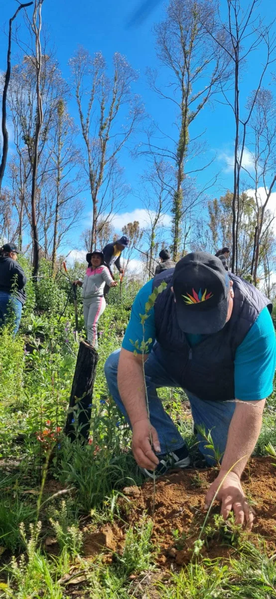 ¡Trabajando juntos por nuestro medio ambiente El dia de hoy