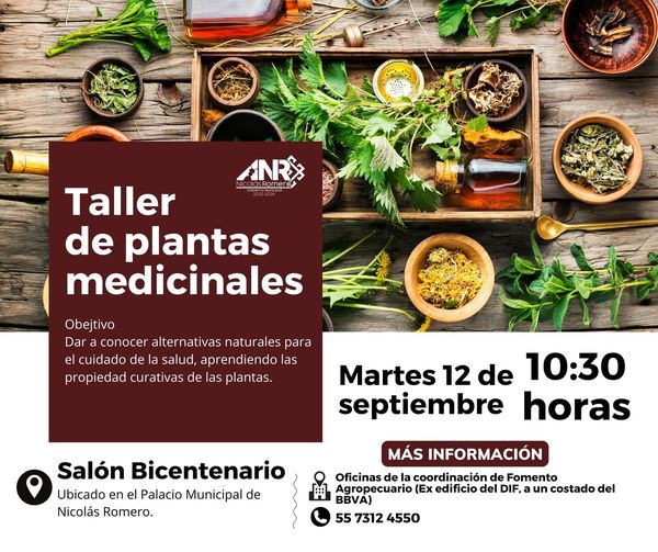 ¡Unete a nuestro taller sobre plantas medicinales el martes 12