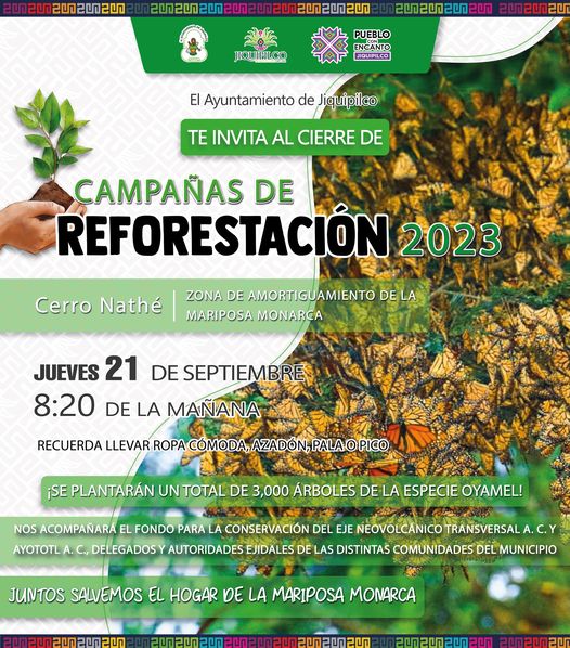 ¡Vayamos juntos a reforestar