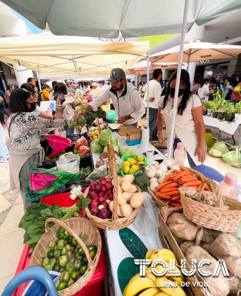 ¡Ya te estamos esperando en el HuertoSustentable del DIF Toluca scaled