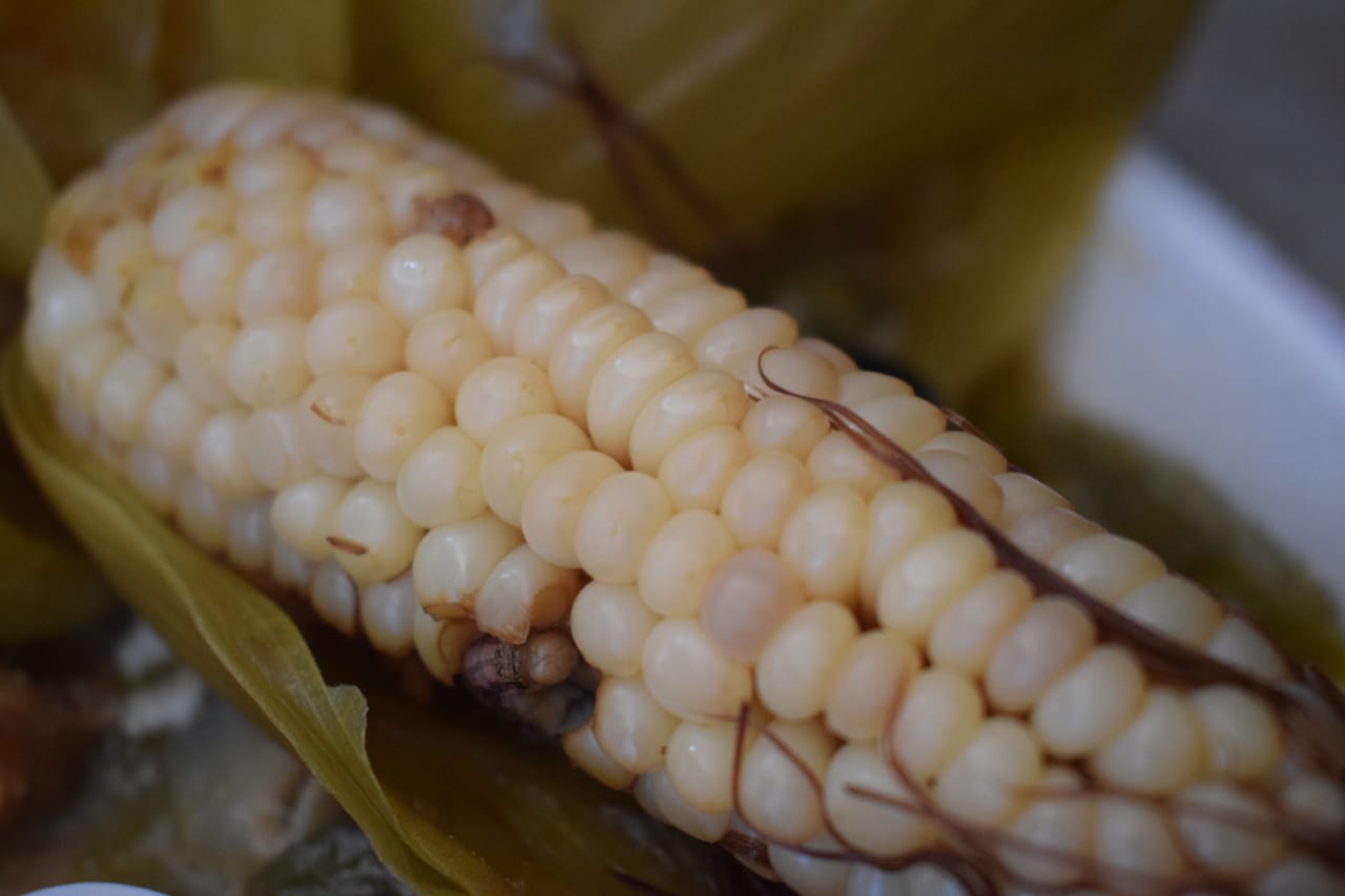 ¿Antojo de algo delicioso y tradicional ¡El elote hervido es