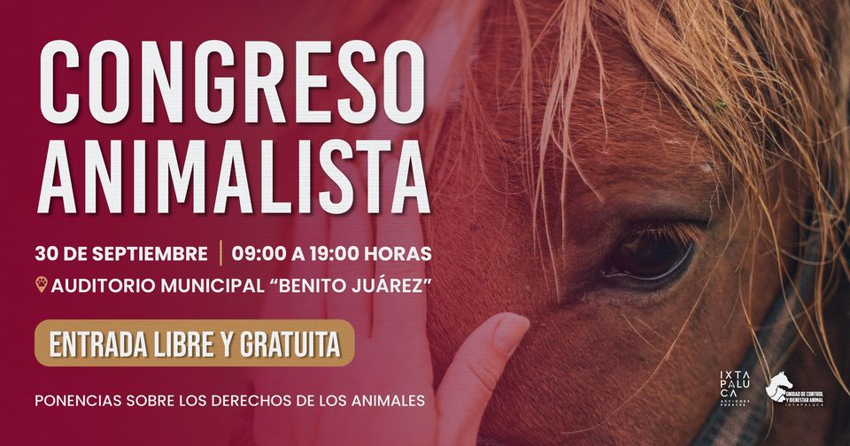 ¿Estas en contra de las injusticias hacia los animales No