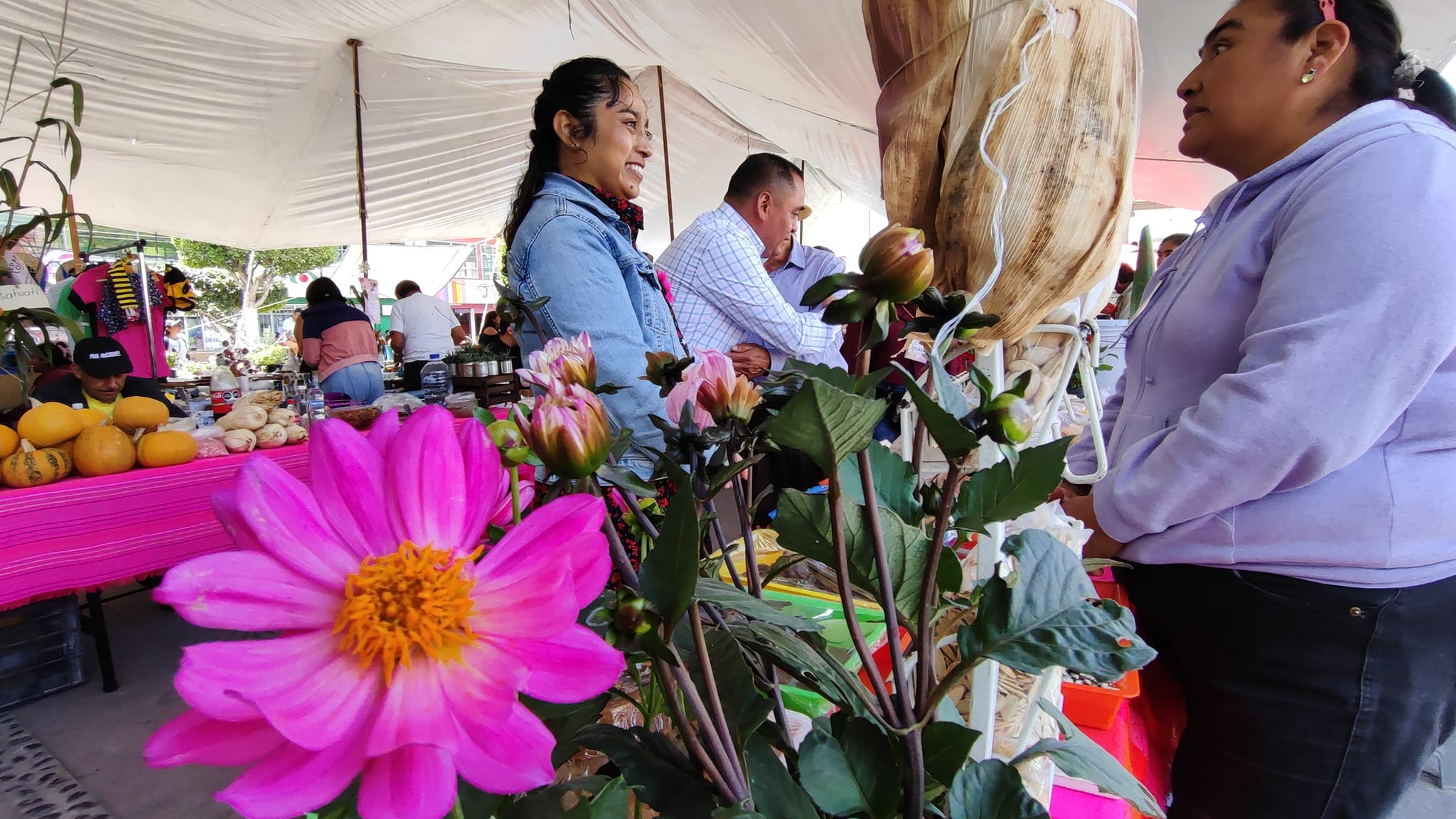 1696190840 142 No te pierdas el ultimo dia de nuestra Feria Biocultural