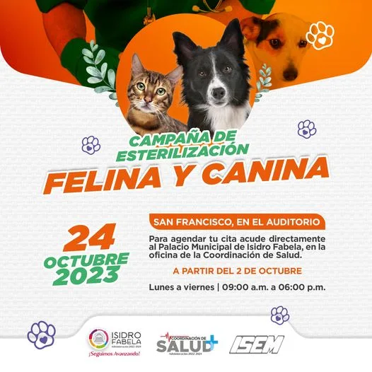 1696276233 ESTERILIZACION FELINA Y CANINA La Coordinacion de Salud en jpg